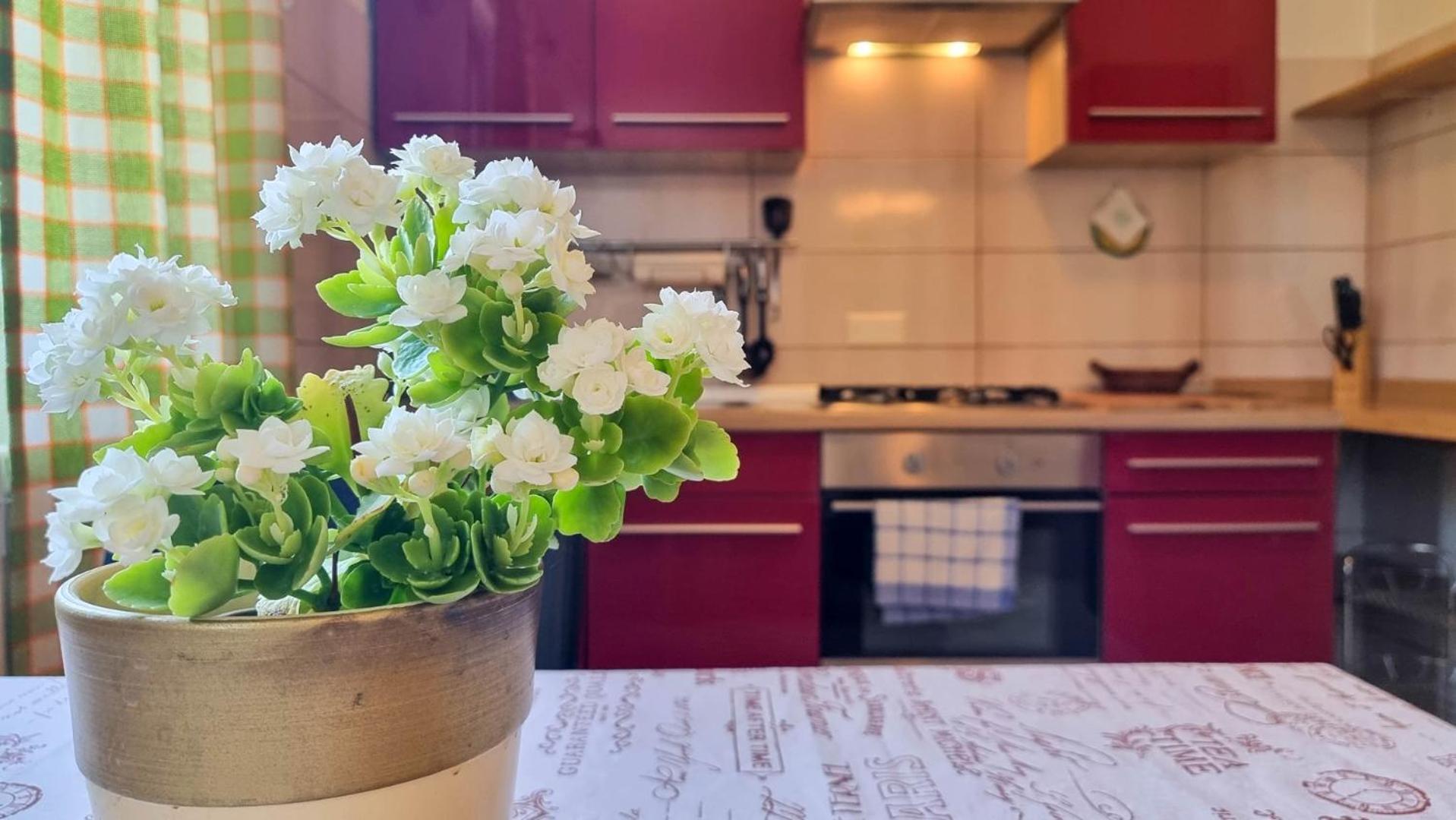 Mirjana Four Appartement Novigrad Istria Buitenkant foto